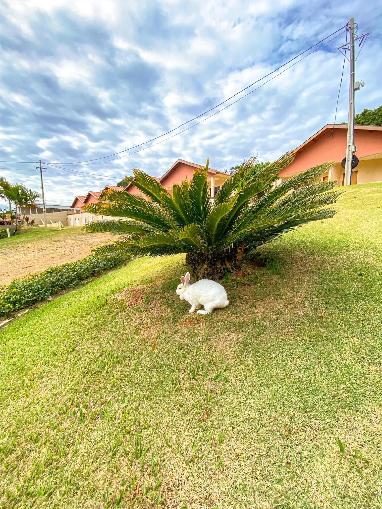 Pousada Flores Do Campo Águas de Lindóia Esterno foto